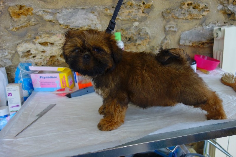 Lola Des Portes De Shamballa