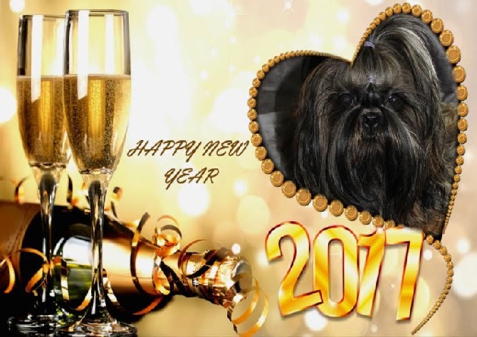 Des Portes De Shamballa - HAPPY NEW YEAR 2017!!!