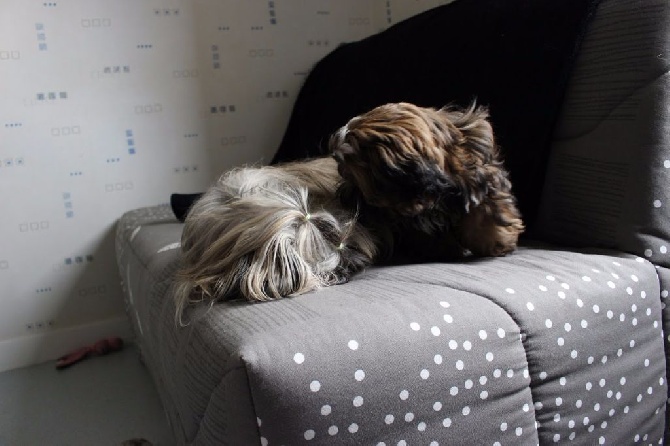 Des Portes De Shamballa - CHUT!!! IVY dort!