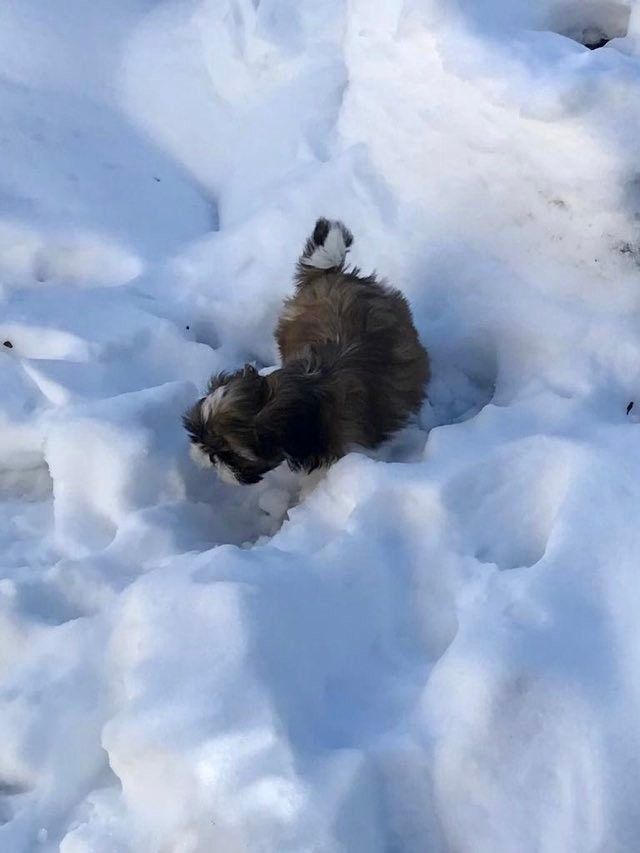 Des Portes De Shamballa - Découverte de la neige pour TAGHLA...